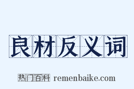 良材反义词是什么意思的图片